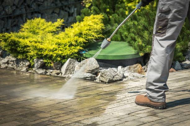 Trusted Brushy Creek, TX Pressure Washing Experts