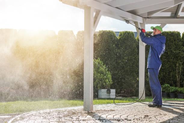 Animal Enclosure Cleaning in Brushy Creek, TX