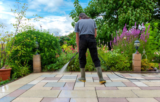 Best Driveway Pressure Washing  in Brushy Creek, TX